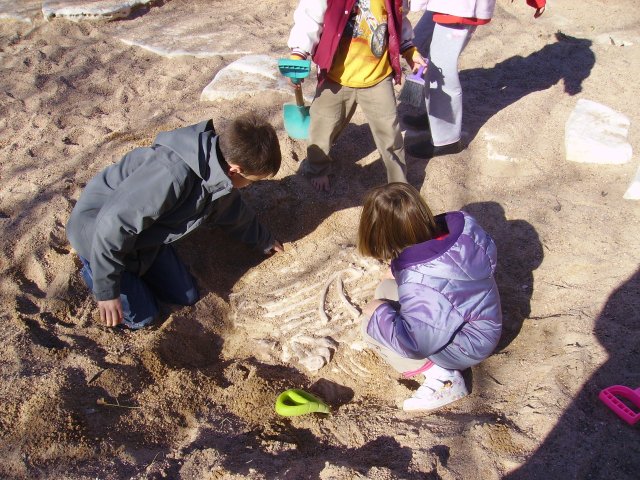 Dinosaur bones at Zilker park