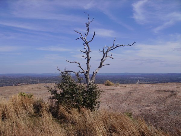 desert.JPG
